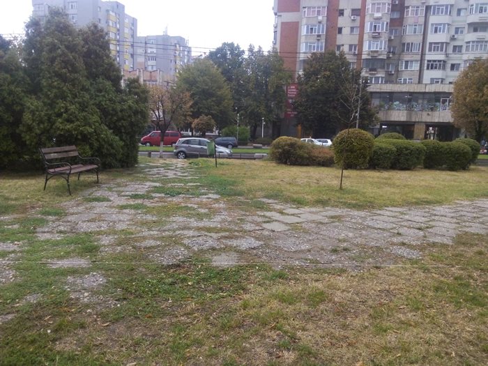 DIN BUGETUL LOCAL, PENTRU RUPIAH ȘI DUS ! ”HAU MACI ” NE COSTĂ SPAȚIILE VERZI…