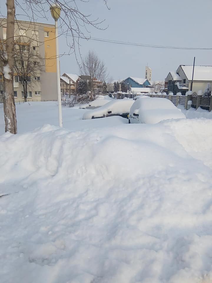 COD ROŞU DE BĂŞCĂLIE DE LA SALUBRIS . CU DESZĂPEZIRE ÎN CONTRACT ŞI SLATINA TROIENITĂ CER MAJORAREA TARIFELOR ! DIN NOU, DUPĂ 2017 !