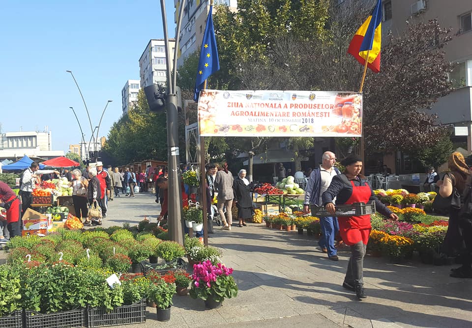 PARALEL CU ZIUA RECOLTEI LA SLATINA, CONSILIERUL LUI DAEA ÎN ZAHANA, LA CACIALMA!