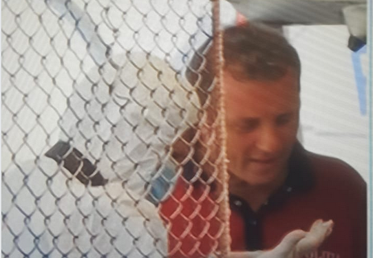 ȚĂNDĂRICĂ, ȘEF CRIMINALISTICĂ POLIȚIA SLATINA ! URME….