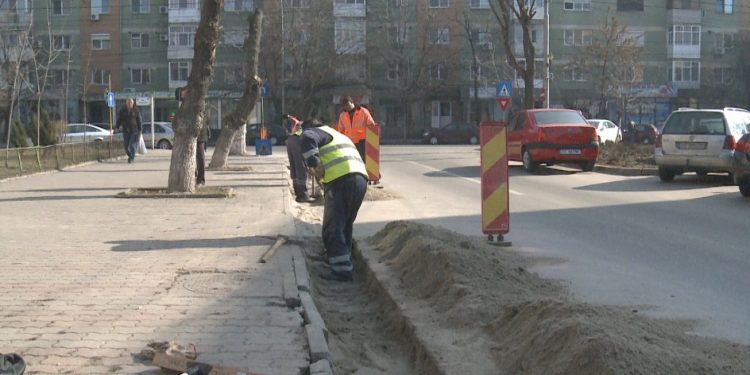 TALPA DE JOS DIN CAO OLT TESTATĂ! LA MUȘTIUC !