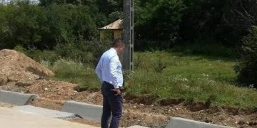 CUNGREA, DRAGOSTEA MEA! COCO PRIMAR, AMIGO CONSULTANT, FRATELO LEADER…MĂREȚ CÂRMACIUL SENATOR!
