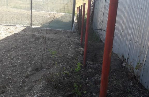 DE LA NAȘUL PRIMAR, PENTRU FINUL SPONSOR ELECTORAL, LA DISCREȚIE ! DEZVOLTĂM PENTRU NOI !