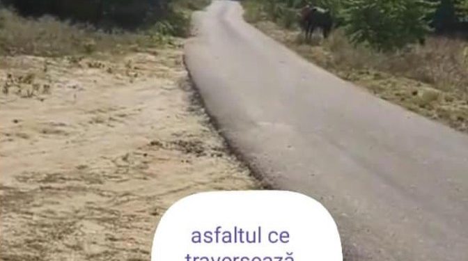 FDI VITOMIREȘTI ! SPOVEDANIILE : IONUȚ ȘTIRBU, ROBERT ROTEA! URMEAZĂ SPOVEDANIA LUI MIRCEA UNGUREANU …LISTA RĂMÂNE DESCHISĂ!