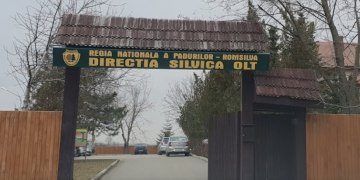 DIRECȚIA SILVICĂ OLT! 136.212 TALPA! ÎNTR-O SINGURĂ ZI !
