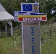 DE LA BREBENI, LA ZONA BALȘ…ÎN TOT JUDEȚUL ! EXPERȚII CONSULTANȚI CUMPĂRAȚI ÎN LICITAȚIILE SICAP. AGREARE ȘI PĂIENJENIȘ ! COMBINAȚII CU OFERTANȚII !