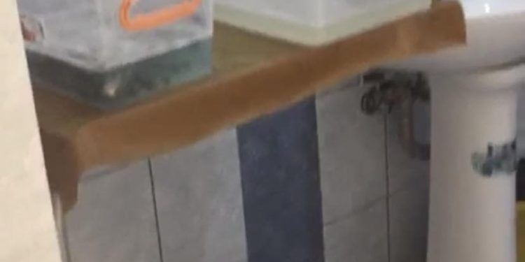 LA CORABIA, DEZLEGARE LA PEȘTE, DAR ȘI LA FILIP! AVOCATUL ILIN, FAVORITUL PRIMARULUI PENTRU MANAGER LA SPITAL!