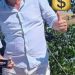 NOROCOȘII DIN ”VIZIUNE” :  SRL ÎN 3 SĂPTĂMÂNI DE LA ÎNFIINȚARE, ÎNTR-O SINGURĂ ZI, 58 MII! EURO!