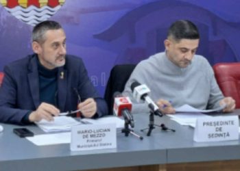 DE LA GHIPS, LA FUNCȚIE…