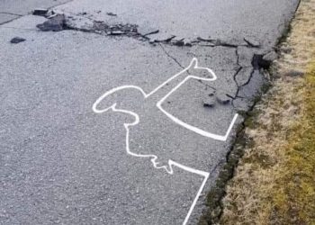 PRIMĂRIA LUI PIȘĂRESCU: INSTITUȚIA UNDE LINIILE TREMURĂ, BOUL INTELECTUALIZEAZĂ ȘI PRIMARU` SE FILMEAZĂ