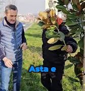 Subterane periculoase la Primăria Slatina.Schema prin care administrarea orașului scapă de licitații publice!