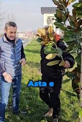 Subterane periculoase la Primăria Slatina.Schema prin care administrarea orașului scapă de licitații publice!