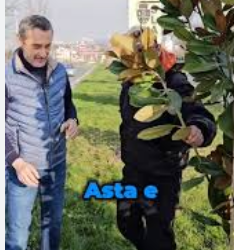 Contracte de peste 400 000 Euro încredințate DUS unei firme de apartament cu zero angajați