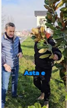 Contracte de peste 400 000 Euro încredințate DUS unei firme de apartament cu zero angajați