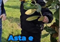 Fantomele pavelelor. Alți 50 mii Euro de la DUS către aceeași firmă din București cu doar 4 angajați