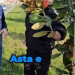 Fantomele pavelelor. Alți 50 mii Euro de la DUS către aceeași firmă din București cu doar 4 angajați