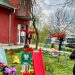 Semne de întrebare privind activitatea centrelor pentru copii cu autism din Olt. Ce ascund ușile închise și ce spun legile? Solicităm verificări AJPIS, DSP, ITM, ISU, OPC
